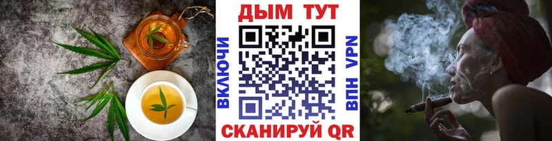закладки  Казань  Cannafood конопля 