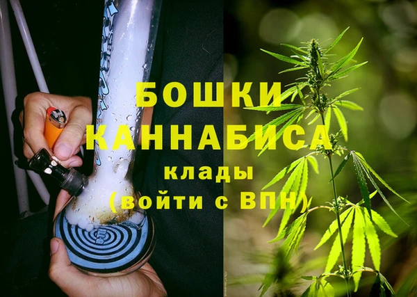 прущие грибы Волосово