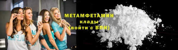 прущие грибы Волосово