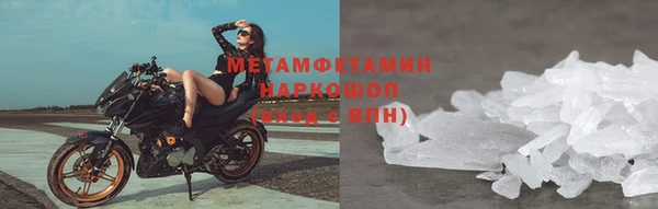 прущие грибы Волосово