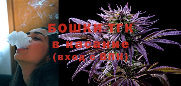 прущие грибы Волосово