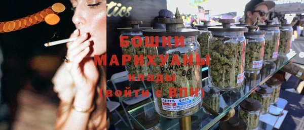 прущие грибы Волосово