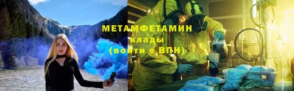 прущие грибы Волосово