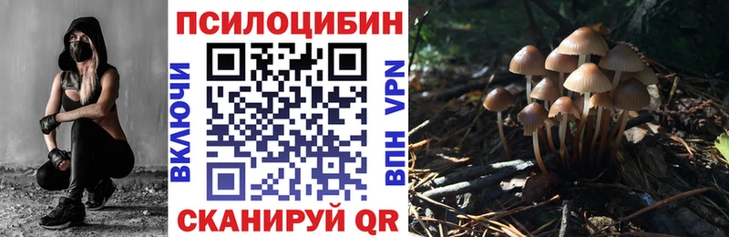 Галлюциногенные грибы Psilocybine cubensis Казань